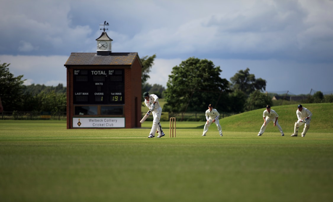 Cricket predictions