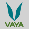 Vaya Vaya Coupons