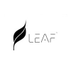 Store Leaf Studios Store Leaf Studios