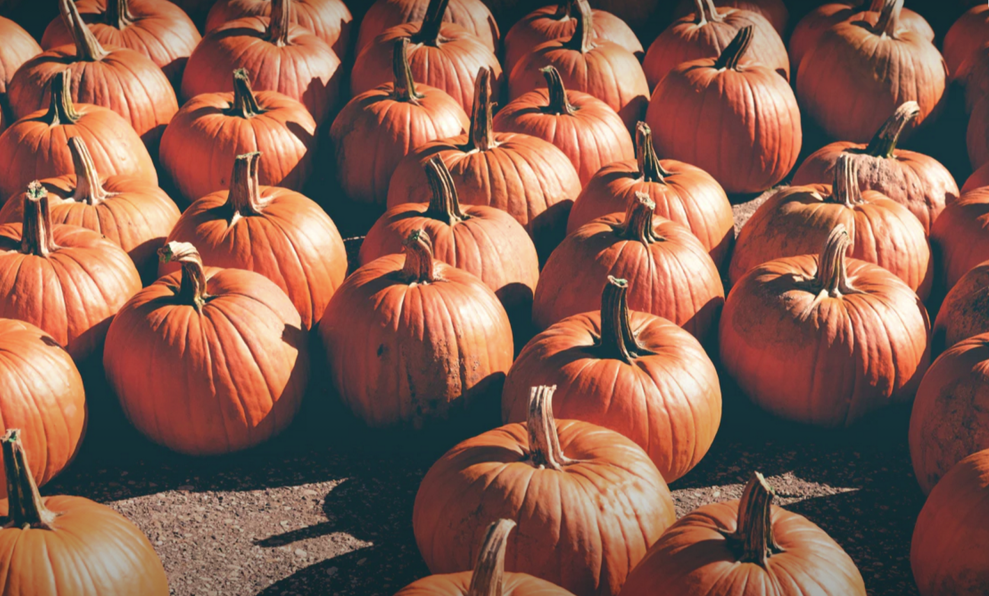 Celebrating Halloween in Singapore