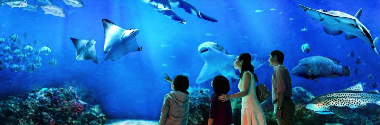 sea aquarium singapore