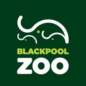 Blackpool Zoo Blackpool Zoo