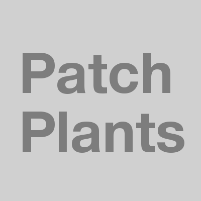 Patch Plants Patch Plants